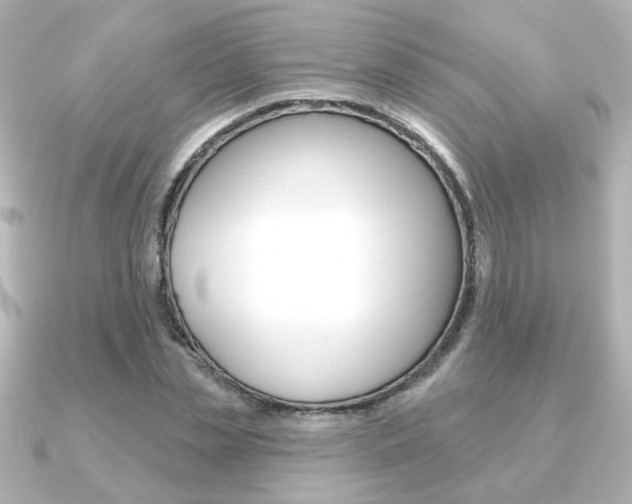 X0000091370829200708101113