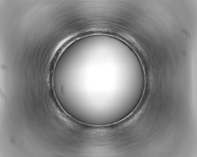X0000091370830200708101113