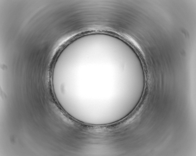 X0000091370831200708101113