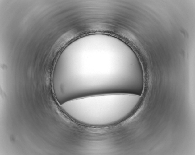 X0000091370833200708101113