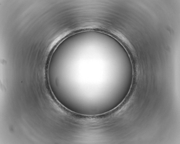 X0000091370834200708101113