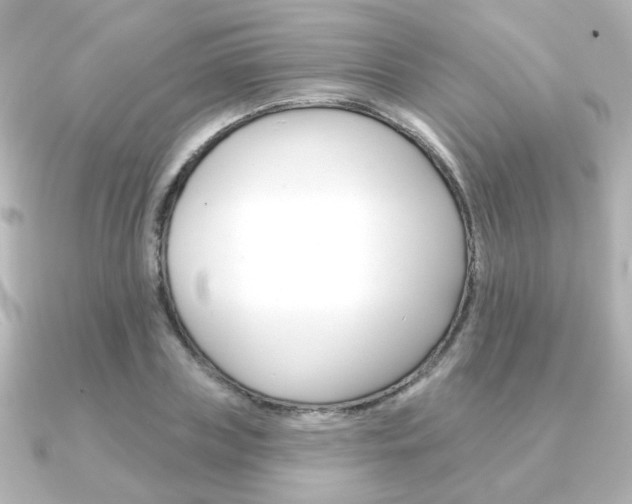 X0000091370835200708101113