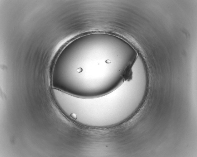 X0000091370838200708101113