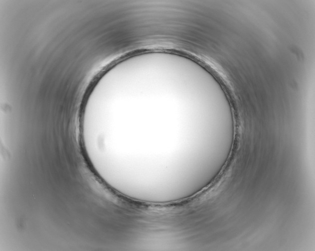 X0000091370840200708101113
