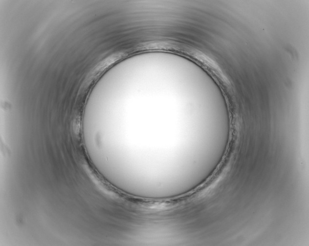 X0000091370841200708101113