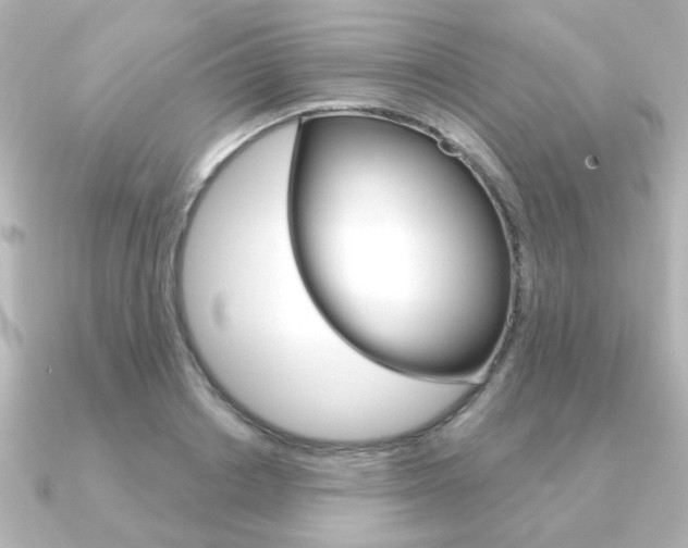 X0000091370842200708101113