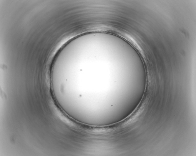 X0000091370843200708101113