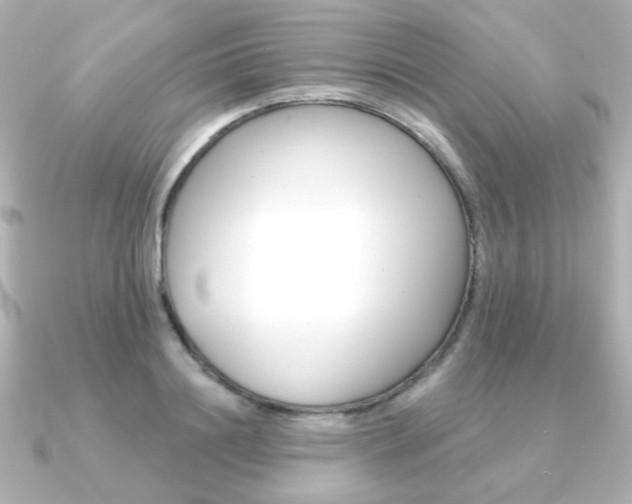 X0000091370844200708101113