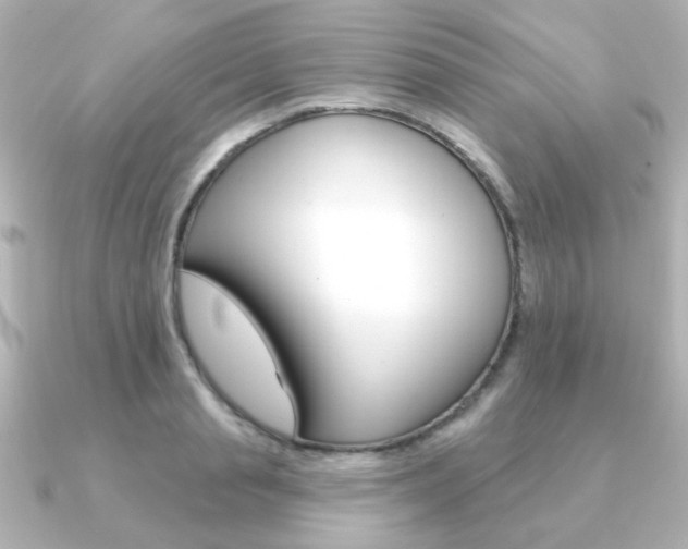 X0000091370845200708101113