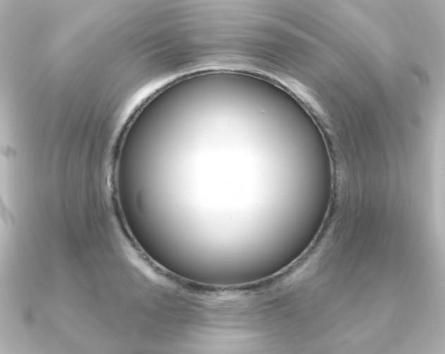 X0000091370846200708101113
