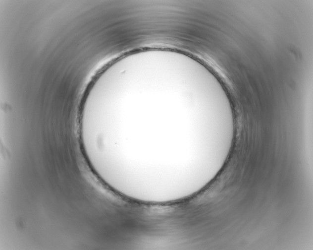 X0000091370848200708101113