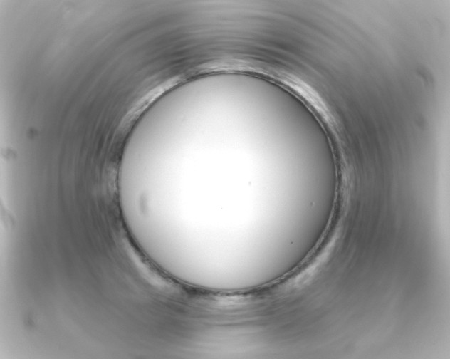 X0000091370849200708101113