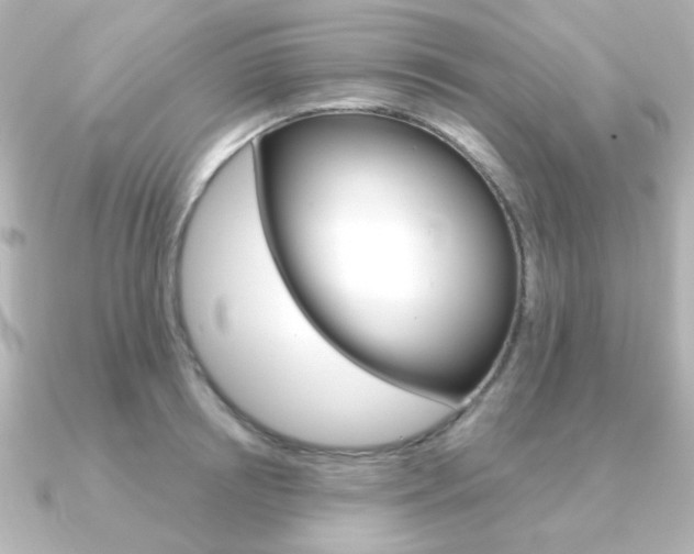 X0000091370850200708101113