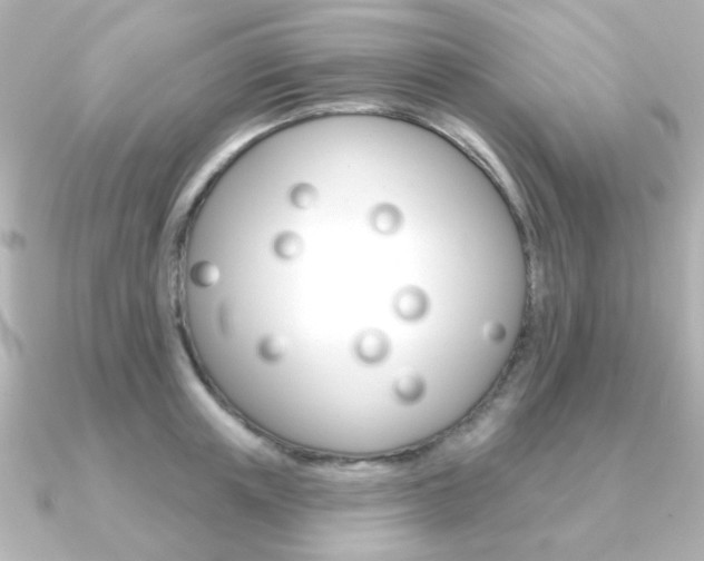 X0000091370851200708101113