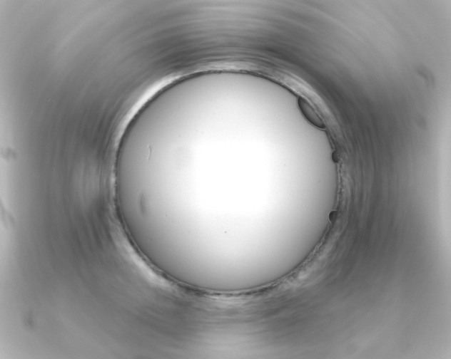 X0000091370852200708101113