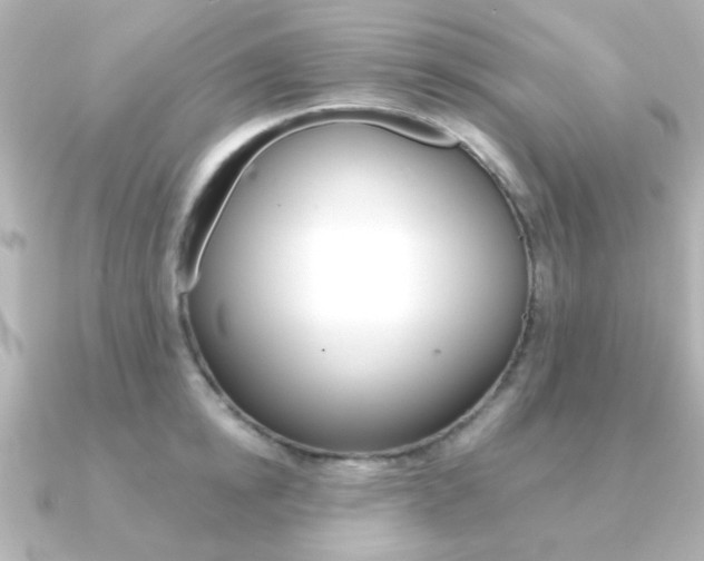 X0000091370854200708101113
