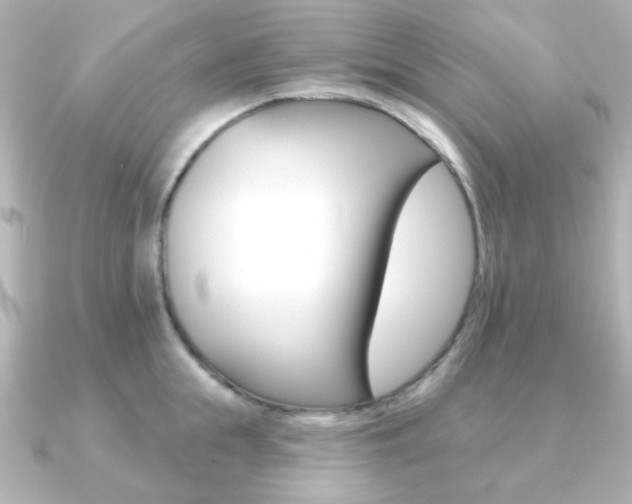 X0000091370855200708101113