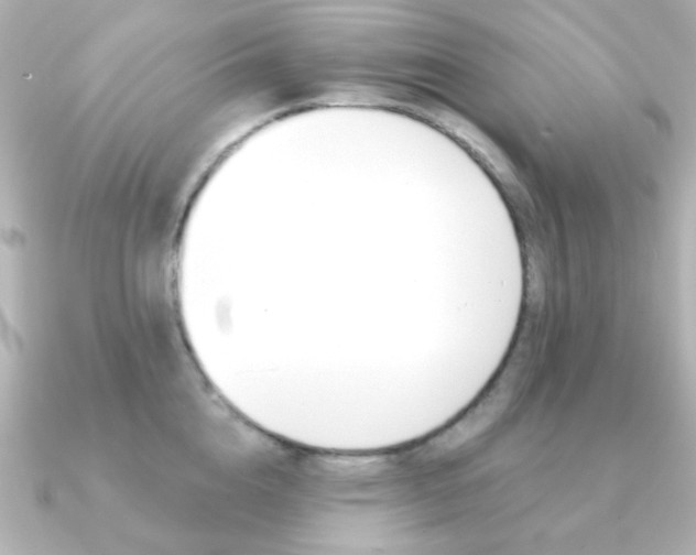 X0000091370856200708101113