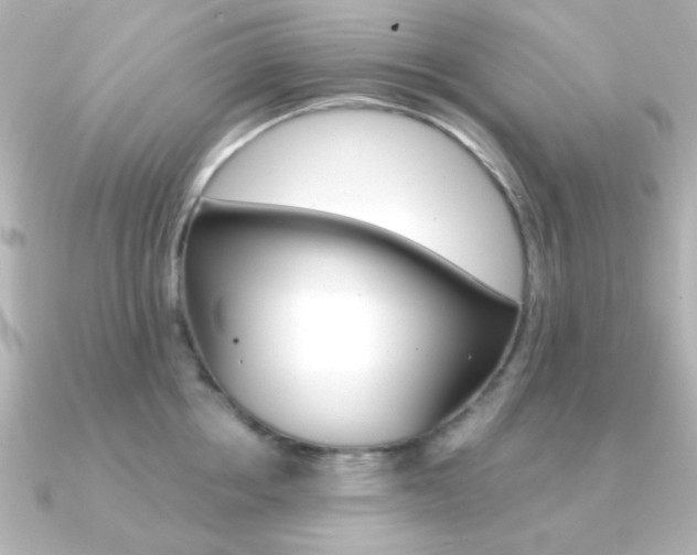 X0000091370858200708101113