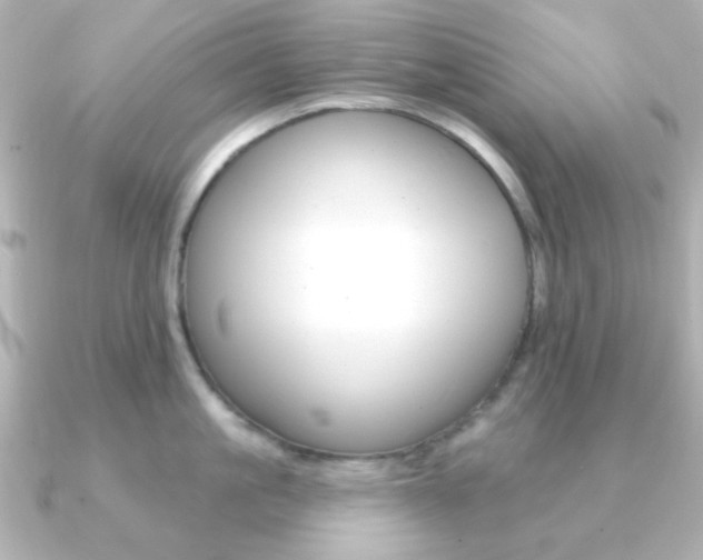X0000091370861200708101113