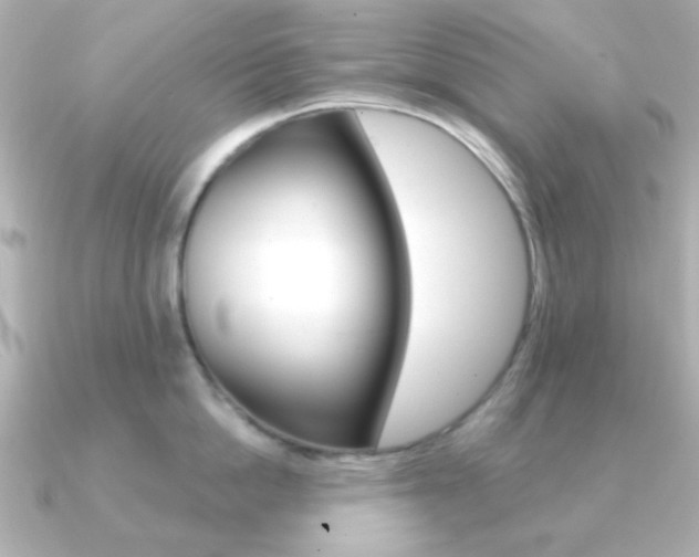 X0000091370862200708101113