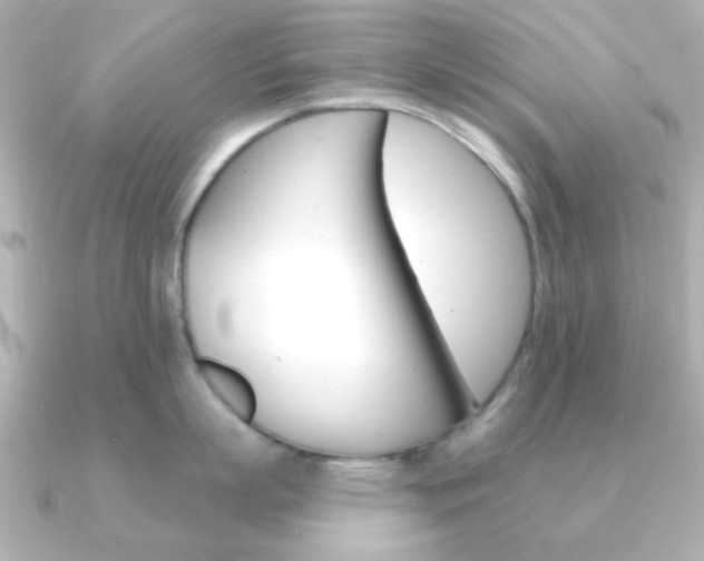 X0000091370863200708101113