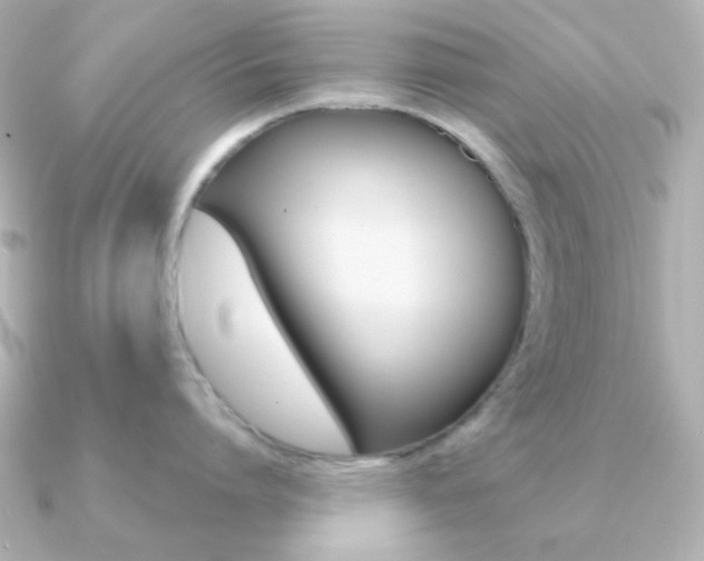 X0000091370864200708101113