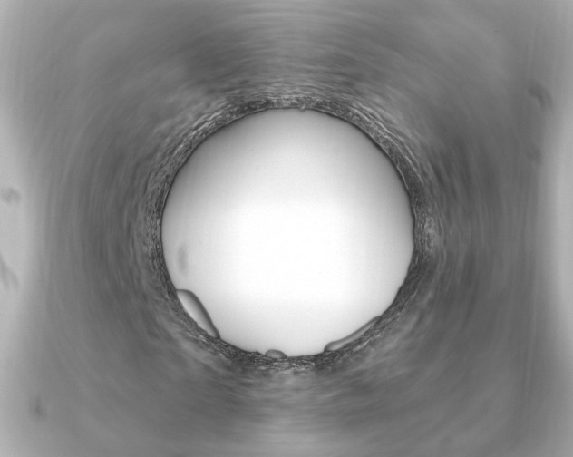 X0000091370865200708101113
