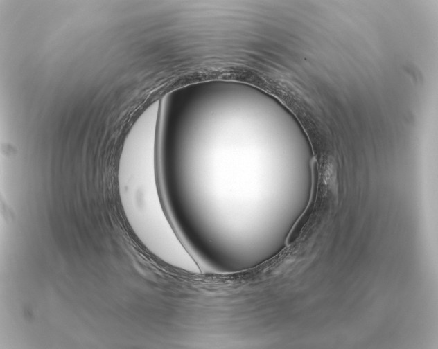 X0000091370868200708101113
