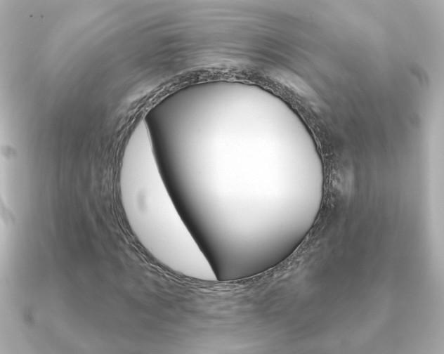 X0000091370869200708101113