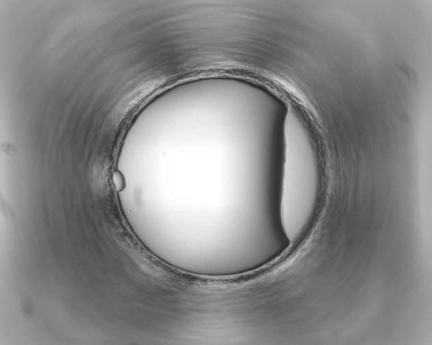 X0000091370873200708101113
