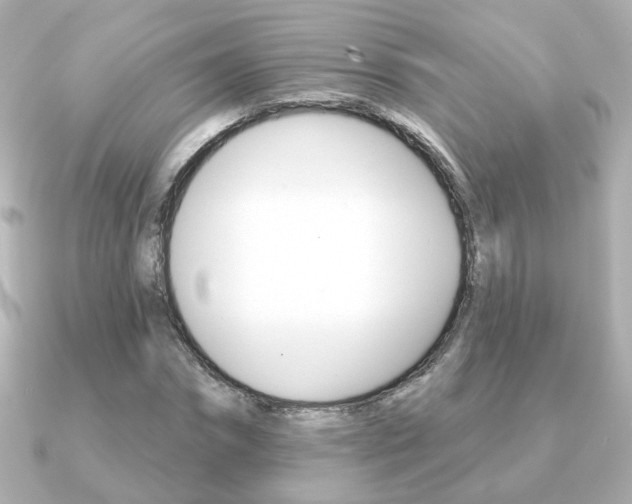 X0000091370874200708101113