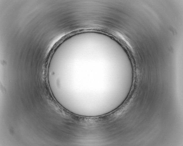 X0000091370875200708101113