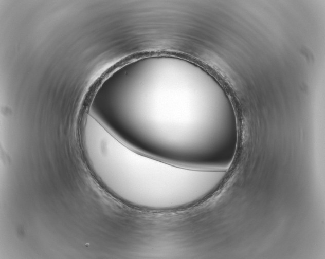 X0000091370876200708101113