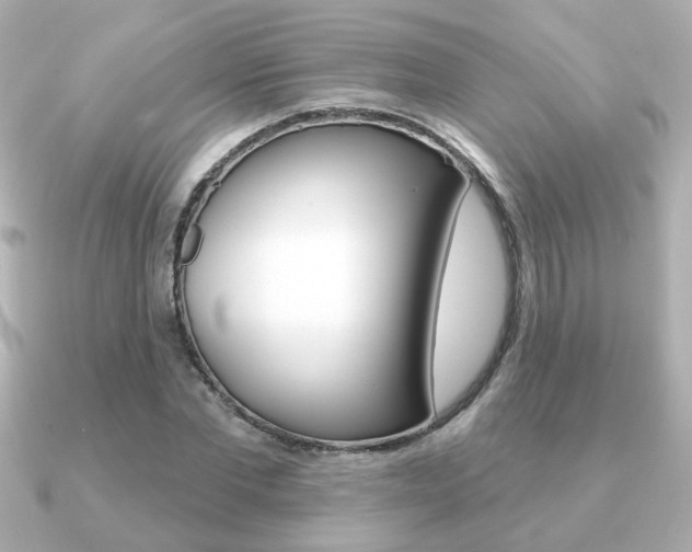 X0000091370877200708101113