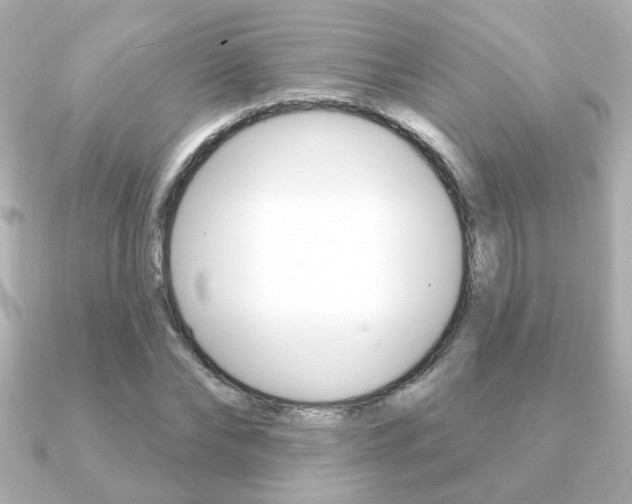 X0000091370878200708101113