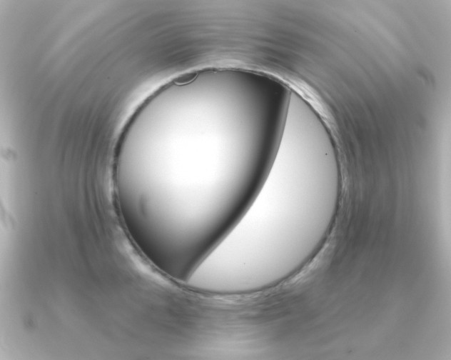X0000091370904200708101112