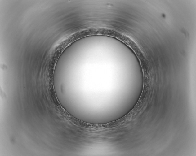 X0000091370919200708101112