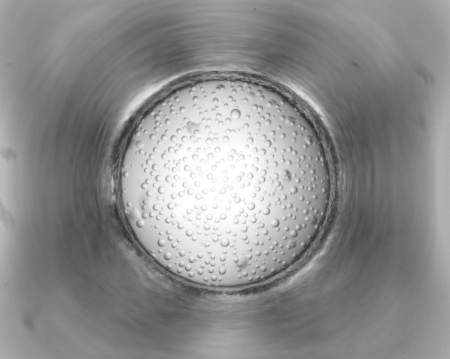 X0000091370925200708101112
