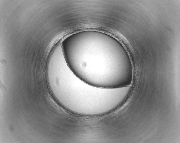 X0000091370930200708101112
