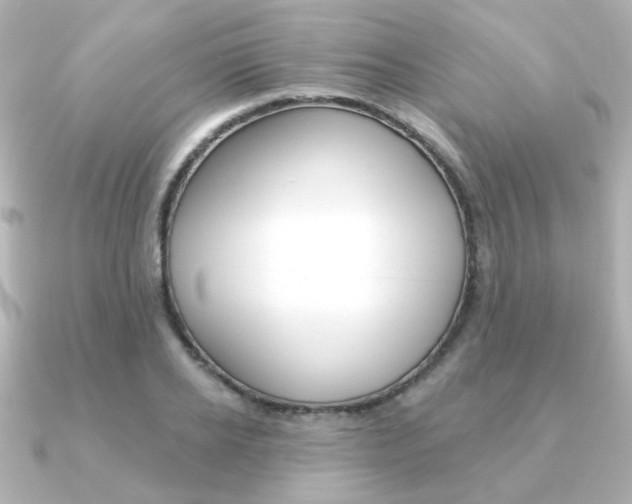 X0000091370934200708101112