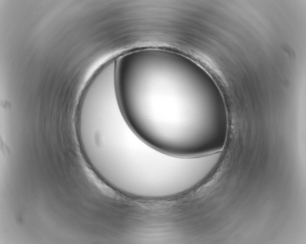 X0000091370942200708101112