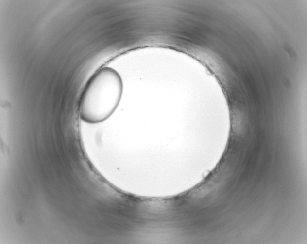 X0000091370950200708101112