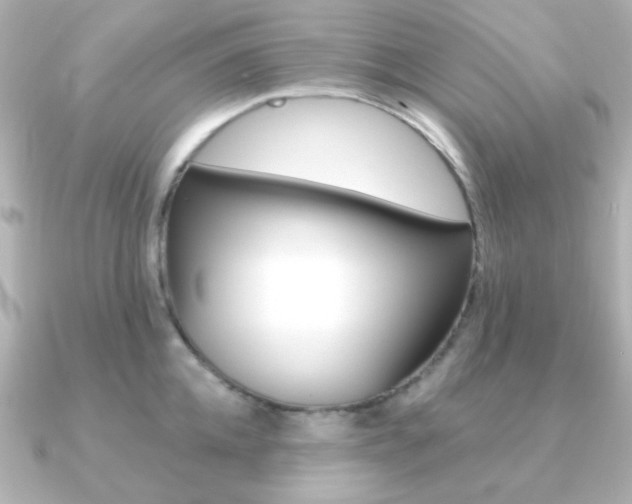 X0000091370952200708101112