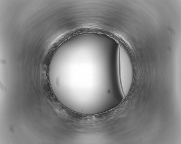 X0000091370968200708101112