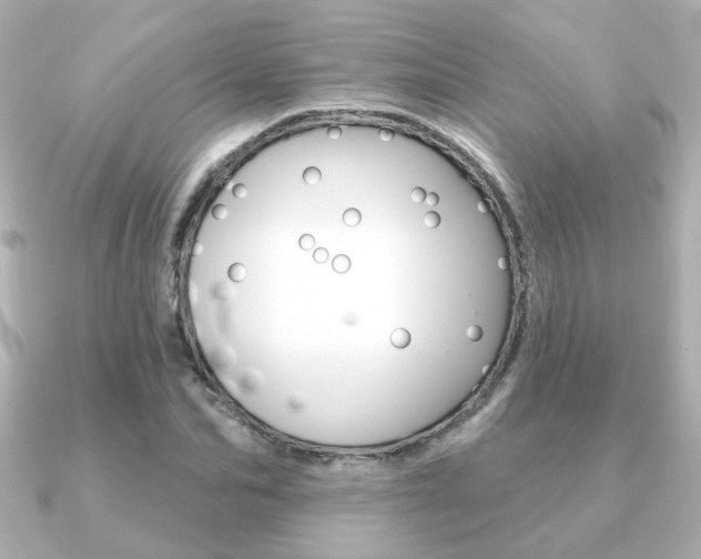 X0000091370974200708101111
