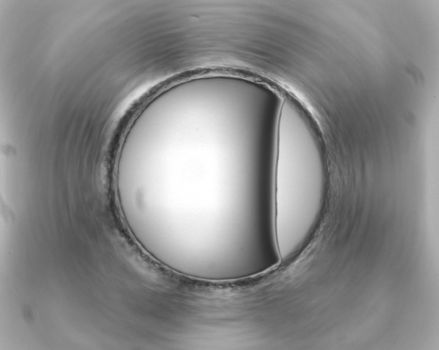 X0000091370975200708101111