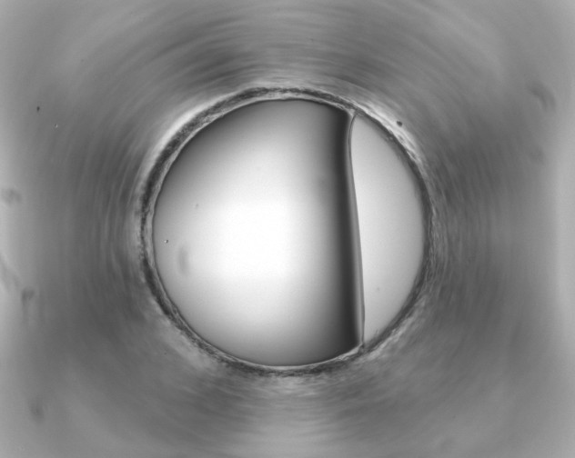 X0000091370976200708101111