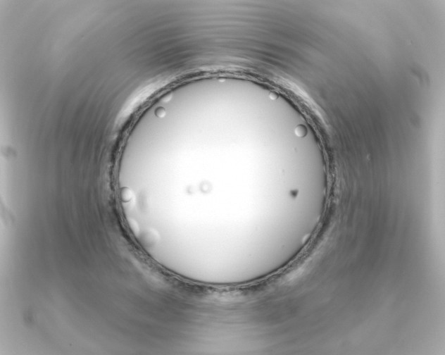 X0000091370978200708101111
