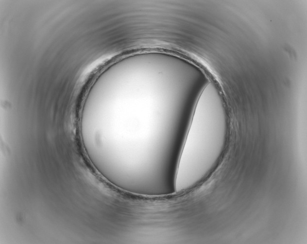 X0000091370979200708101111